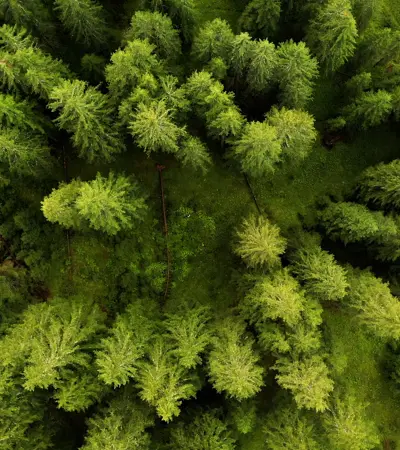 Biobased and bio-degradable plastics